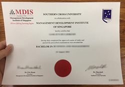 Where to Buy Fake MDIS Diploma in Si