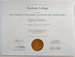 Where to Buy Durham College Fake Dip