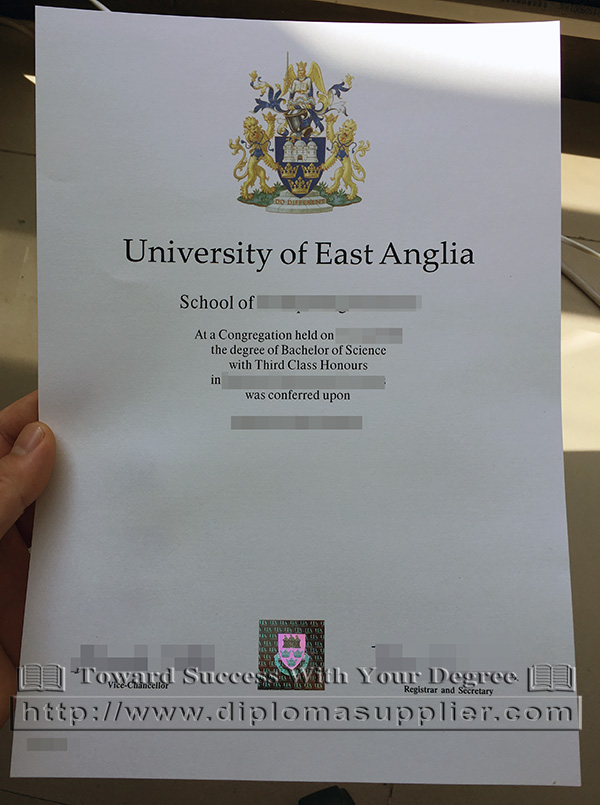 University of East Anglia diploma, UEA degree sample