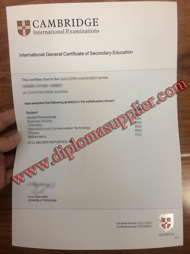 fake IGCSE certificate, IGCSE fake certificate, <a href='https://www.diplomasupplier.com/' target='_blank'><u>buy fake diploma</u></a>, buy fake degree